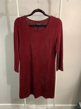 Trixxi Glittery Burgundy Scoop Neck Mini Dress